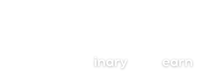 Binary Learn logo